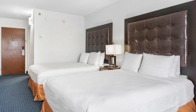 Accommodation Image
