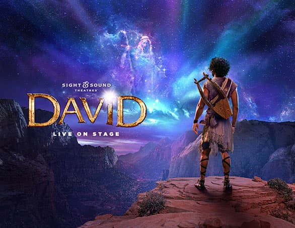 David - Live on the Stage