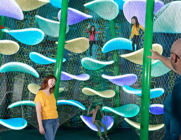 Branson Five’r Package