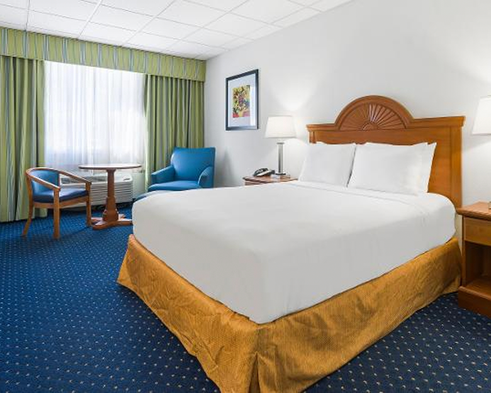 Rooms & Suites