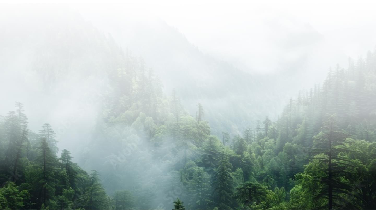 foggy mountain