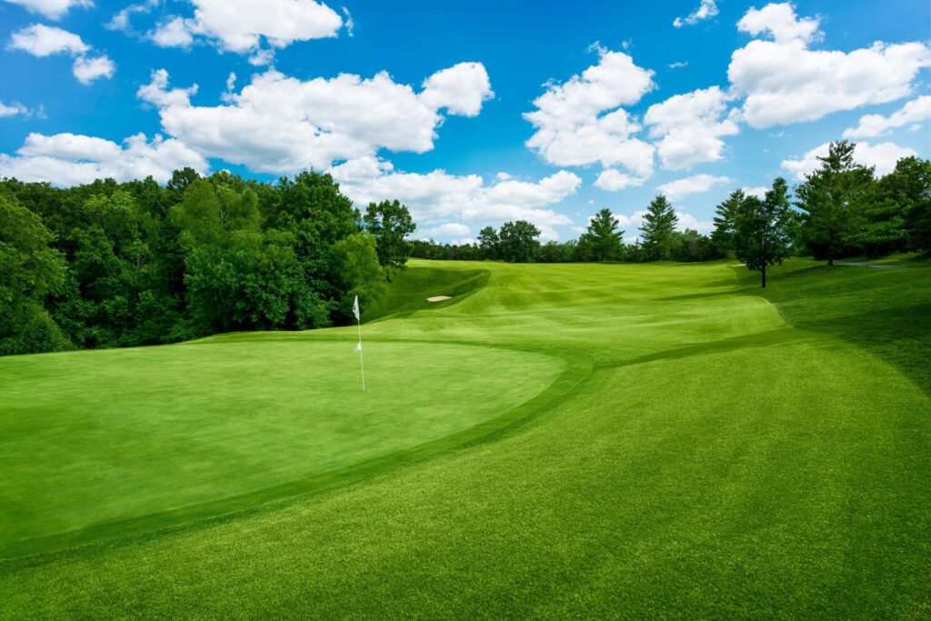 Golf course green