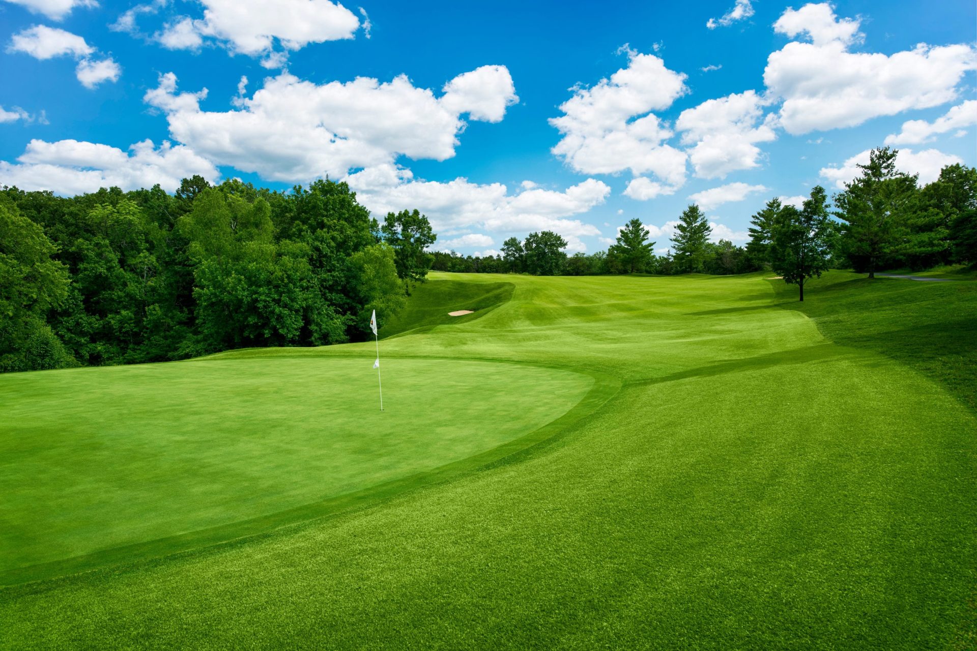 World Class Golf