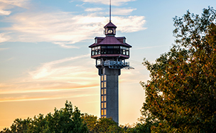 A tall observation tower with an enclosed viewing deck rising above trees at sunset