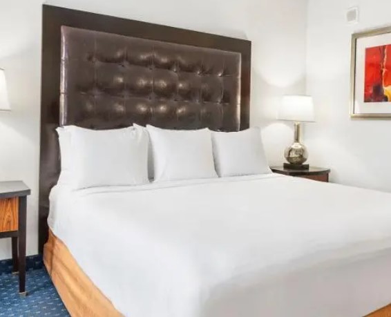 A king bed with a dark padded headboard and a bedside lamp