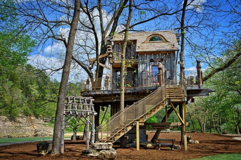 What Should You Know About Dogwood Canyon Nature Park Near Branson?
